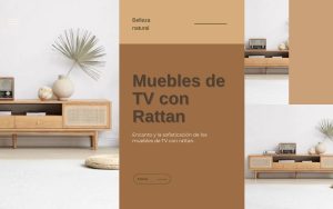 Muebles de TV con Rattan
