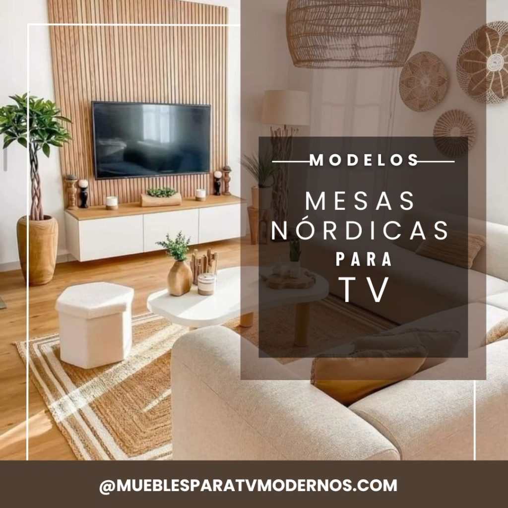 Muebles de TV con Rattan